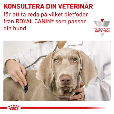KONSULTERA DIN VETERINÄR för att ta reda på vilket dietfoder från ROYAL CANIN som passar din hund. VETERINARY NUTRITION syns till höger.