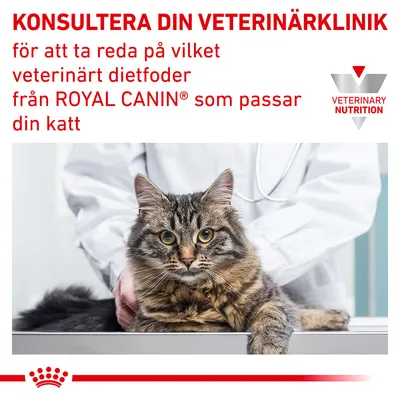 KONSULTERA DIN VETERINÄRKLINIK för att ta reda på vilket veterinärt dietfoder från ROYAL CANIN som passar din katt. VETERINARY NUTRITION.