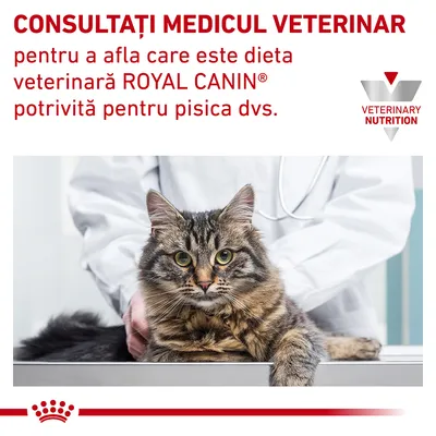 CONSULTAȚI MEDICUL VETERINAR pentru a afla care este dieta veterinară ROYAL CANIN potrivită pentru pisica dvs. VETERINARY NUTRITION. Imagine cu o pisică la veterinar.