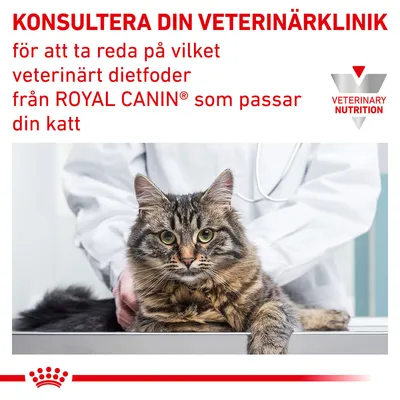 KONSULTERA DIN VETERINÄRKLINIK för att ta reda på vilket veterinärt dietfoder från ROYAL CANIN som passar din katt. VETERINARY NUTRITION.