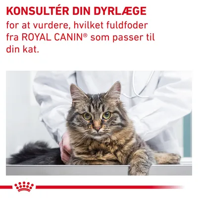 KONSULTÉR DIN DYRLÆGE for at vurdere, hvilket fuldfoder fra ROYAL CANIN som passer til din kat.