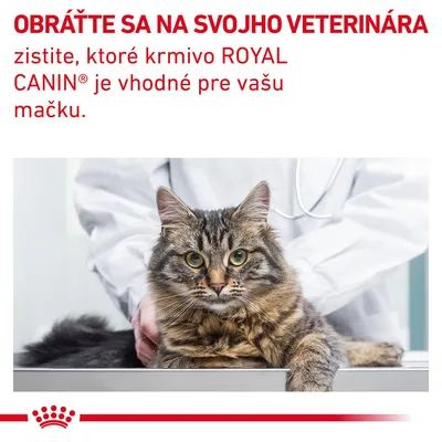 OBRÁŤTE SA NA SVOJHO VETERINÁRA zistite, ktoré krmivo ROYAL CANIN® je vhodné pre vašu mačku.