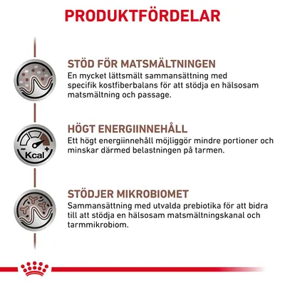 Produktfördelar: Stöd för matsmältningen, högt energiinnehåll, stödjer mikrobiomet. Beskrivningar om lättsmält sammansättning, mindre portioner och prebiotika för tarmhälsa.