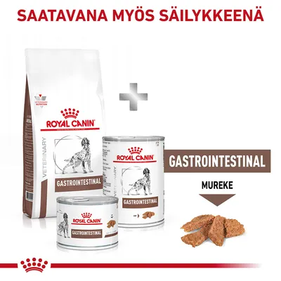 Royal Canin Gastrointestinal -koiranruokaa: kuiva- ja säilykeruoka, pakkauksissa näkyy koirakuva. Teksti: SAATAVANA MYÖS SÄILYKE, GASTROINTESTINAL, MUREKE.