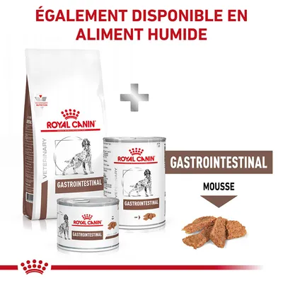 Royal Canin Gastrointestinal pour chien, croquettes et boîtes humides visibles. Texte : Également disponible en aliment humide, Gastrointestinal mousse.