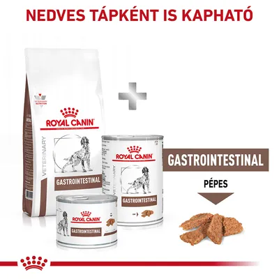 Royal Canin Gastrointestinal száraz és nedves táp, pépes állagban. Felirat: Nedves tápként is kapható, GASTROINTESTINAL, PÉPES.