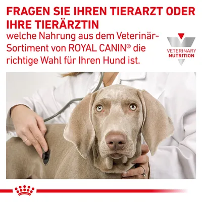 Fragen Sie Ihren Tierarzt oder Ihre Tierärztin, welche Nahrung aus dem Veterinär-Sortiment von Royal Canin die richtige Wahl für Ihren Hund ist. Veterinary Nutrition Logo sichtbar.