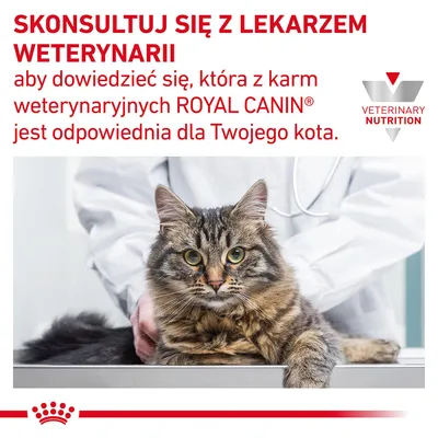 SKONSULTUJ SIĘ Z LEKARZEM WETERYNARII, aby dowiedzieć się, która z karm weterynaryjnych ROYAL CANIN jest odpowiednia dla Twojego kota. VETERINARY NUTRITION.