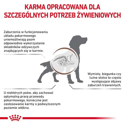 Karma opracowana dla szczególnych potrzeb żywieniowych. Informacje o zaburzeniach trawienia u psów, objawach i konieczności stosowania karmy z podwyższonym poziomem włókna.