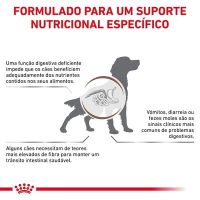 Formulado para um suporte nutricional específico. Texto: função digestiva deficiente impede absorção de nutrientes; vómitos, diarreia ou fezes moles são sinais comuns; alguns cães precisam de mais fibra. Formulado para um suporte nutricional específico. Texto: função digestiva deficiente impede absorção de nutrientes; vómitos, diarreia ou fezes moles são sinais comuns; alguns cães precisam de mais fibra.