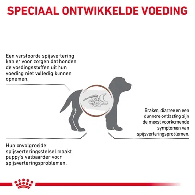 Speciaal ontwikkelde voeding. Tekst: verstoorde spijsvertering belemmert opname voedingsstoffen; puppy’s zijn vatbaarder; braken, diarree en dunne ontlasting zijn veelvoorkomende symptomen.