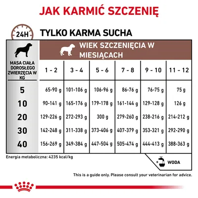 Tabela dawkowania suchej karmy dla szczeniąt wg masy dorosłego psa (5–40 kg) i wieku w miesiącach (1–12). Przykład: 10 kg, 3–4 mies.: 165–176 g dziennie. Zalecana woda.