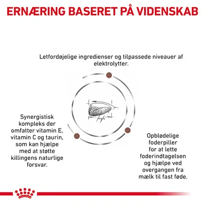 ERNÆRING BASERET PÅ VIDENSKAB. Letfordøjelige ingredienser, tilpassede elektrolytter, synergistisk kompleks med vitamin E, C og taurin, opblødelige foderpiller for lettere overgang til fast føde.