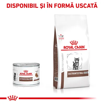 Royal Canin Gastrointestinal Kitten, conserve și sac hrană uscată pentru pisoi. Text vizibil: DISPONIBIL ȘI ÎN FORMĂ USCATĂ.