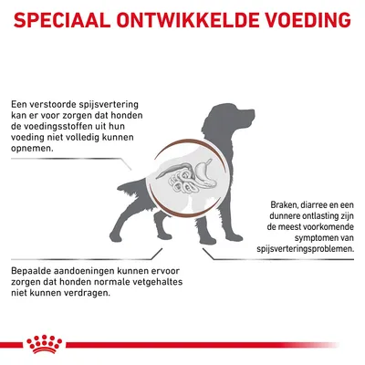 Speciaal ontwikkelde voeding. Tekst: verstoorde spijsvertering belemmert opname voedingsstoffen, braken/diarree/dunne ontlasting zijn symptomen, sommige honden verdragen vetgehaltes niet.