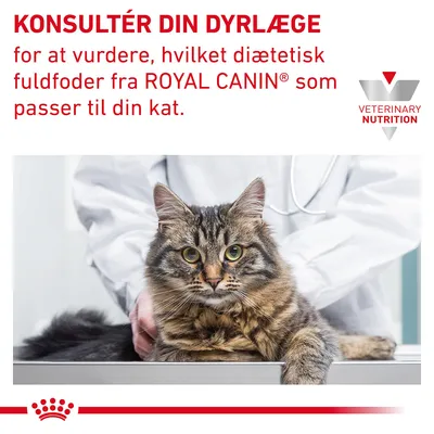 KONSULTÉR DIN DYRLÆGE for at vurdere, hvilket diætetisk fuldfoder fra ROYAL CANIN som passer til din kat. VETERINARY NUTRITION. Kat på undersøgelsesbord med dyrlæge i baggrunden.