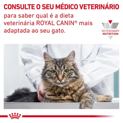 Consulte o seu médico veterinário para saber qual é a dieta veterinária ROYAL CANIN mais adaptada ao seu gato. VETERINARY NUTRITION.