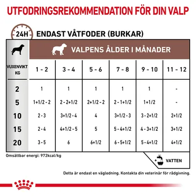 Utfodringsrekommendation för valp: tabell med våtfoder per dag enligt vuxenvikt (2–20 kg) och valpens ålder (1–12 månader). Omsättbar energi: 972 kcal/kg. Vatten rekommenderas.