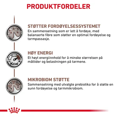 Royal Canin Veterinary Feline Gastrointestinal i saus