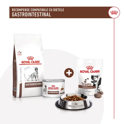 Royal Canin Gastrointestinal: sac hrană uscată, conservă, recompense Treats 200 g și bol metalic. Text vizibil: Recompense compatibile cu dietele gastrointestinal.