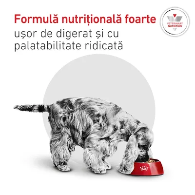 Royal Canin Veterinary Canine Glycobalance Small Dog