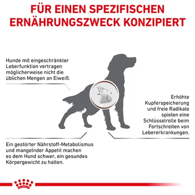 Grafik mit Text: Für einen spezifischen Ernährungszweck konzipiert. Hinweise zu Leberfunktion, Kupferspeicherung und Nährstoff-Metabolismus bei Hunden. Royal Canin Logo unten.