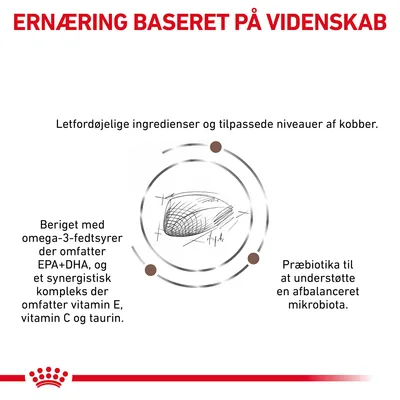 ERNÆRING BASERET PÅ VIDENSKAB. Letfordøjelige ingredienser, tilpassede niveauer af kobber, omega-3-fedtsyrer EPA+DHA, vitamin E, C, taurin, præbiotika for balanceret mikrobiota.