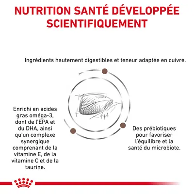 NUTRITION SANTÉ DÉVELOPPÉE SCIENTIFIQUEMENT. Ingrédients hautement digestibles, cuivre adapté, oméga-3 EPA/DHA, vitamines E/C, taurine, prébiotiques pour le microbiote.