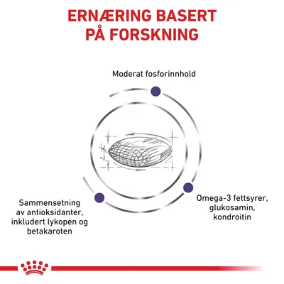 Royal Canin Expert Feline Mature Consult