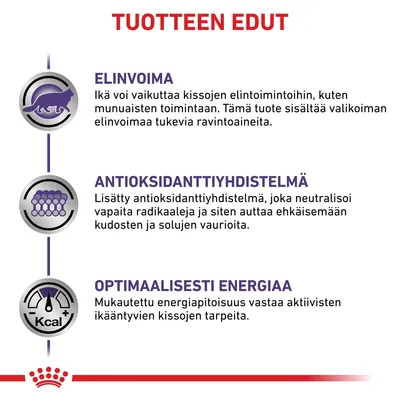 Tuotteen edut: elinvoima, antioksidanttiyhdistelmä ja optimaalisesti energiaa. Tekstit kuvaavat ravintoaineita, antioksidantteja ja energiapitoisuutta ikääntyville kissoille.