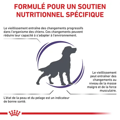 Formulé pour un soutien nutritionnel spécifique. Le vieillissement entraîne des changements chez les chiens, affectant adaptation, masse musculaire et état de la peau et du pelage.