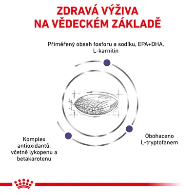 ZDRAVÁ VÝŽIVA NA VĚDECKÉM ZÁKLADĚ, přiměřený obsah fosforu a sodíku, EPA+DHA, L-karnitin, komplex antioxidantů včetně lykopenu a betakarotenu, obohaceno L-tryptofanem.