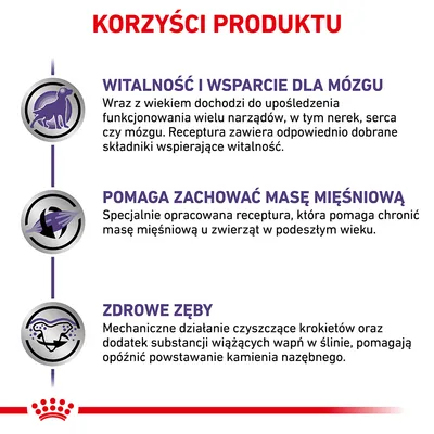 Korzyści produktu: witalność i wsparcie dla mózgu, pomaga zachować masę mięśniową, zdrowe zęby. Opisy dotyczące wspierania organów, mięśni i higieny jamy ustnej u zwierząt.