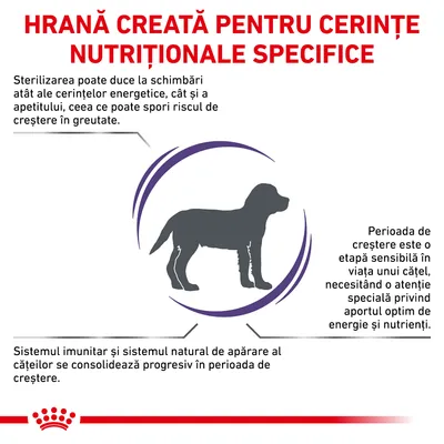 Hrană creată pentru cerințe nutriționale specifice. Sterilizarea poate duce la schimbări ale cerințelor energetice și apetitului. Sistemul imunitar se consolidează progresiv la căței.