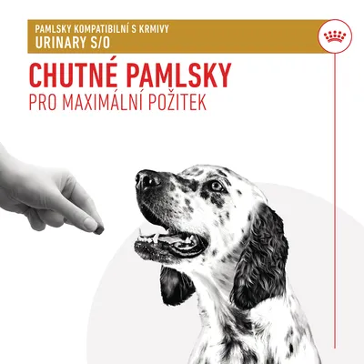 Text: Pamlsky kompatibilní s krmivy URINARY S/O. Chutné pamlsky pro maximální požitek. Ruka podává pamlsek psovi.