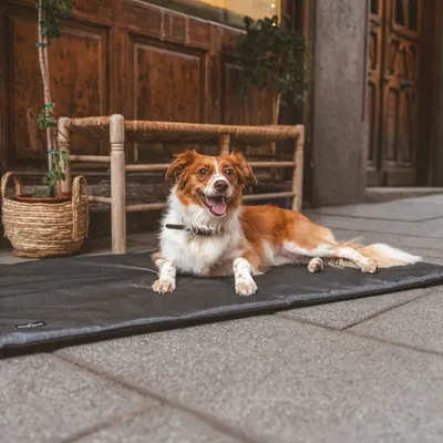 Nomad Tales Spirit Outdoor Riverway Dog Mat