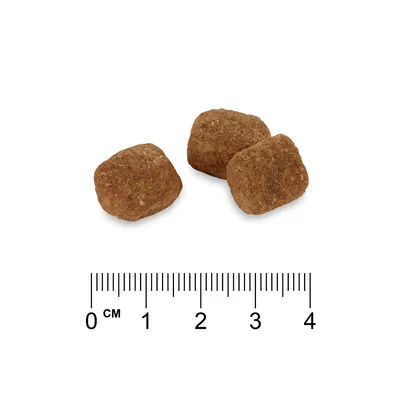 Drei braune Kroketten mit Grössenangabe in Zentimetern, Skala von 0 bis 4 cm.