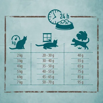 Raccomandazione di alimentazione per gatti: peso 2-7 kg, attività da bassa ad alta. Quantità giornaliera: 20-95 g in base a peso e attività. Simbolo per periodo di alimentazione di 24 ore.