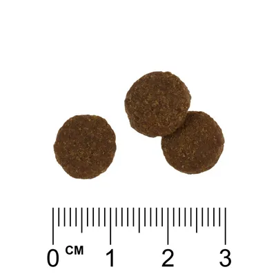 Trzy okrągłe granulki karmy o średnicy około 1,5 cm, widoczne na tle linijki z podziałką centymetrową od 0 do 3 cm.