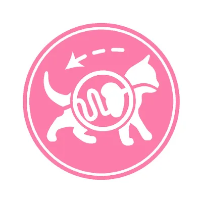 Royal Canin Kitten Sterilised