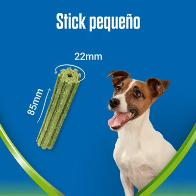 Stick pequeño para perros, medidas visibles: 85 mm de largo y 22 mm de diámetro. Perro junto al producto sobre fondo azul.