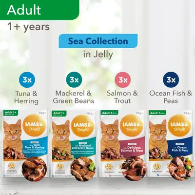 IAMS Delights Sea Collection in Jelly til voksne katte 1+ år: 3x Tuna & Herring, 3x Mackerel & Green Beans, 3x Salmon & Trout, 3x Ocean Fish & Peas. Pakker á 85 g vises.