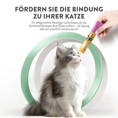 Fördern Sie die Bindung zu Ihrer Katze. Ein weicher, fleischiger Leckerbissen als Topping oder Snack für zwischendurch, der die Geschmacksnerven Ihrer Katze verwöhnt.
