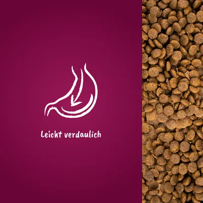 Leicht verdaulich (texte en allemand) avec dessin d’estomac stylisé et croquettes visibles à droite de l’image.