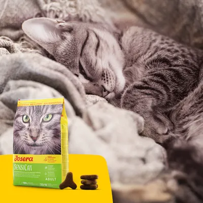 Josera SensiCat Adult Katzenfutter, Super Premium Qualität, leicht verdaulich, hergestellt in Deutschland. Abgebildet: Verpackung und Trockenfutterstücke.