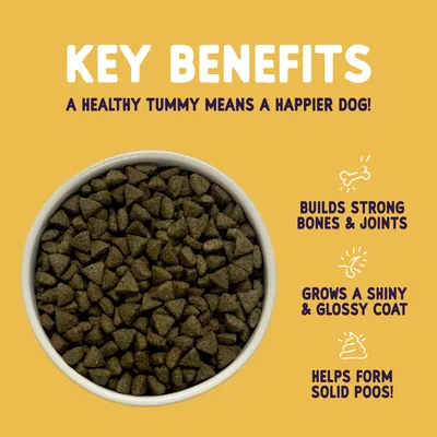 Key benefits: builds strong bones and joints, grows a shiny and glossy coat, helps form solid poos. A healthy tummy means a happier dog. Bowl of dry food shown.
