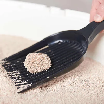 Zwarte strooischep met klonten kattengrit, geschikt voor het reinigen van kattentoiletten.