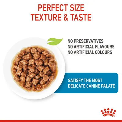 Bowl of meaty chunks in gravy with text: perfect size, texture and taste; no preservatives, no artificial flavours or colours; satisfy the most delicate canine palate.