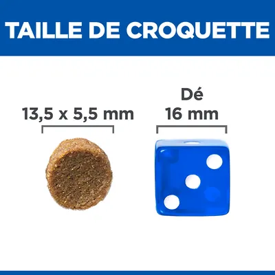Taille de croquette : 13,5 x 5,5 mm à côté d’un dé bleu de 16 mm pour comparaison visuelle. Texte visible : 'TAILLE DE CROQUETTE', '13,5 x 5,5 mm', 'Dé 16 mm'.