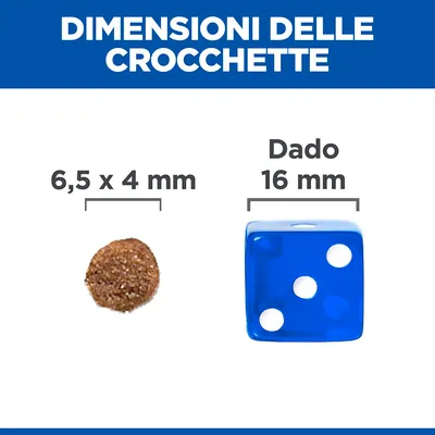 Dimensioni delle crocchette: 6,5 x 4 mm. Dado di confronto: 16 mm. Testo visibile: 'DIMENSIONI DELLE CROCCHETTE', 'Dado', '6,5 x 4 mm', '16 mm'.